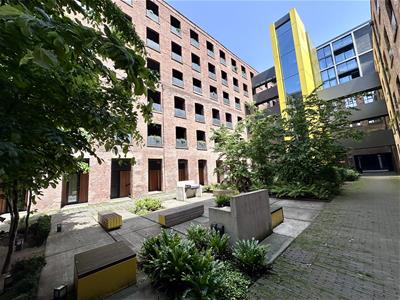 Picture 25
